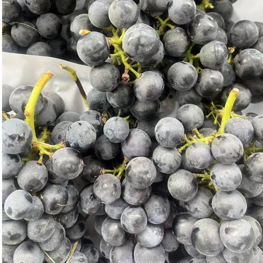【散装约2斤装】蓝莓葡萄散装云南省