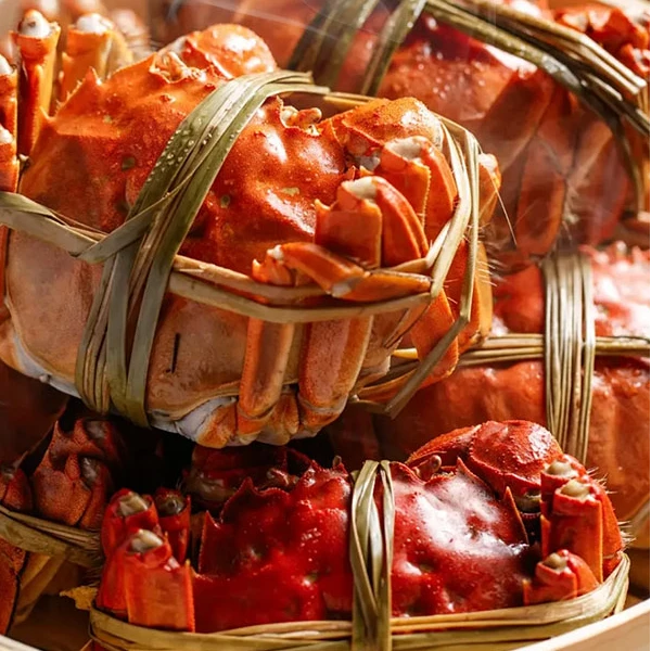 XD【活蟹现发】精品手挑苏蟹3.1-2.8两6只/8只/10只顺丰包邮