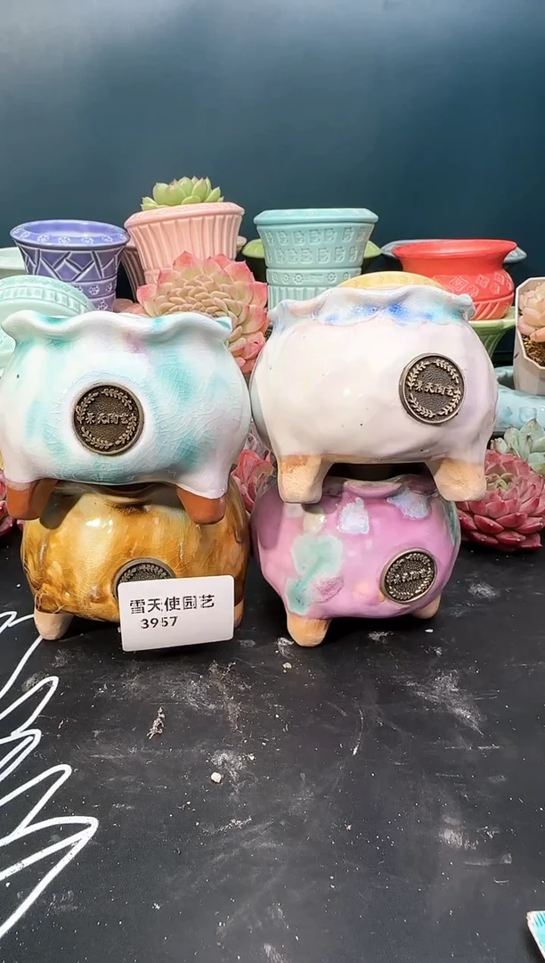 3957  景天盆 4个 默认微瑕