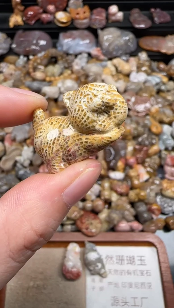 硅化珊瑚（珊瑚玉）未镶嵌颈饰176