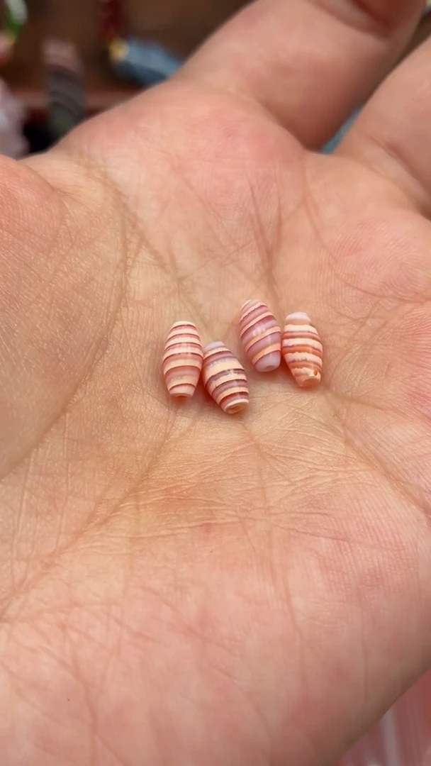 未镶嵌颈饰玛瑙/玉髓【肖钟出品】东南亚配珠随发1颗