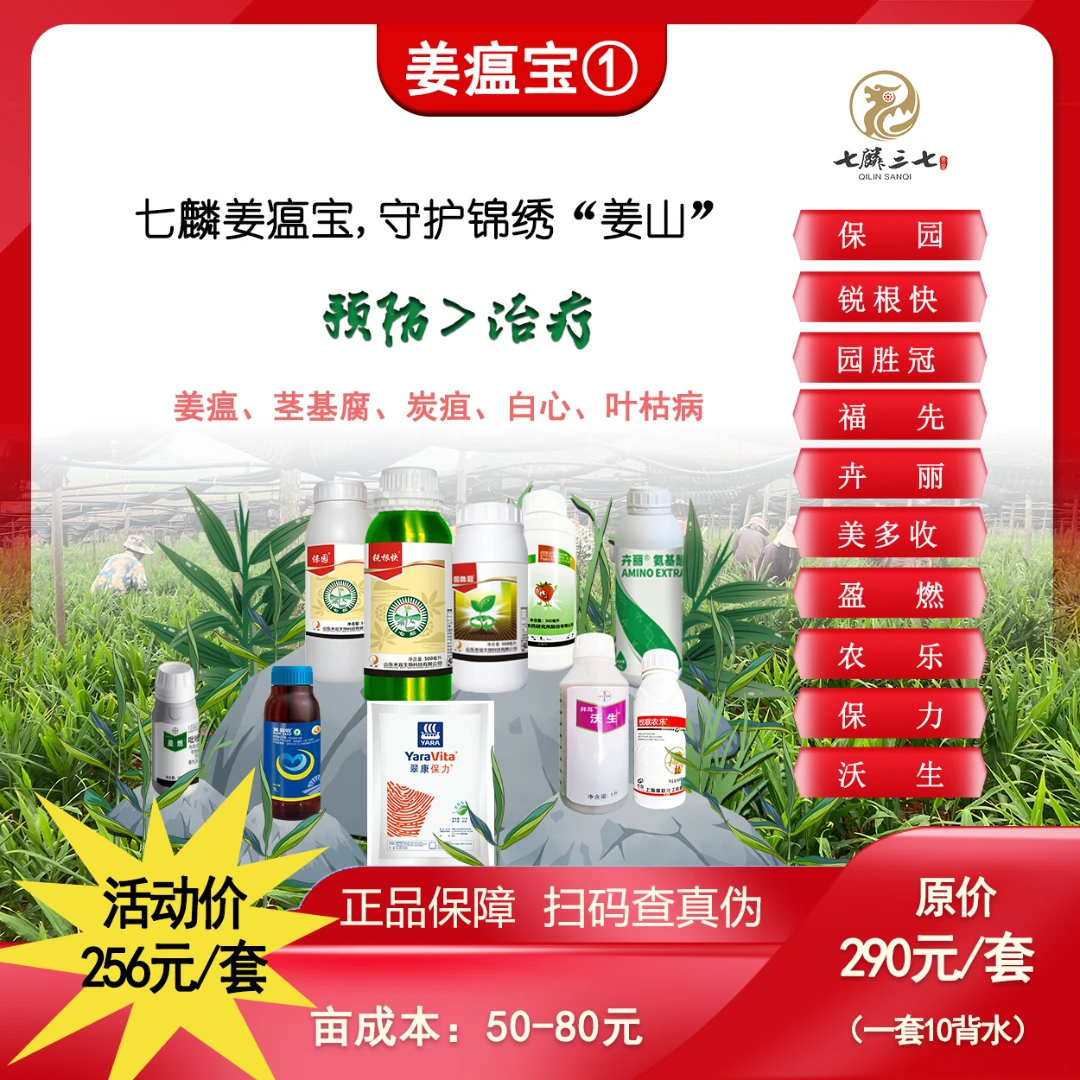 【七麟姜瘟防治方案1号】姜瘟、茎基腐、炭疽、白心、叶枯病