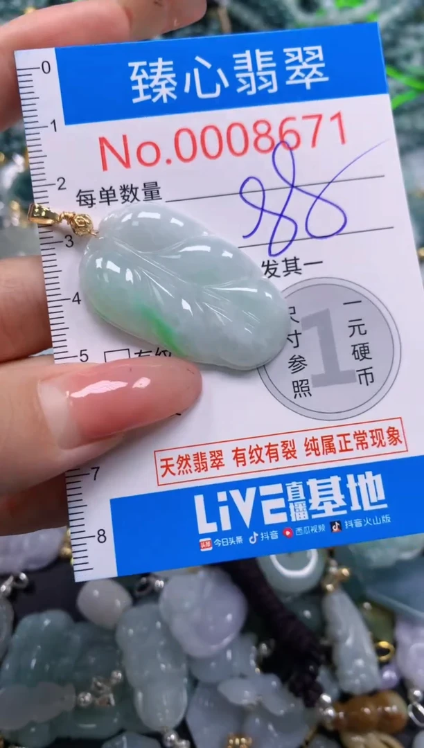 翡翠未镶嵌颈饰8671
