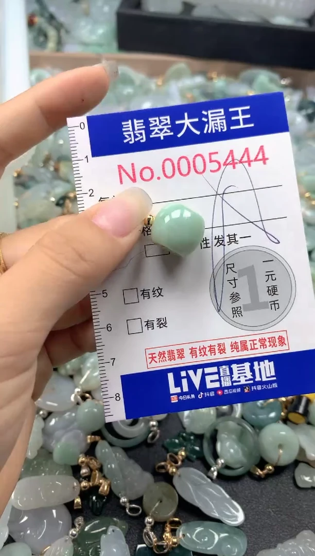 颈饰未镶嵌翡翠5444