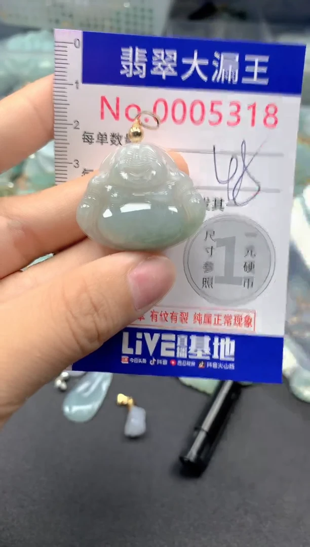 颈饰未镶嵌翡翠5318