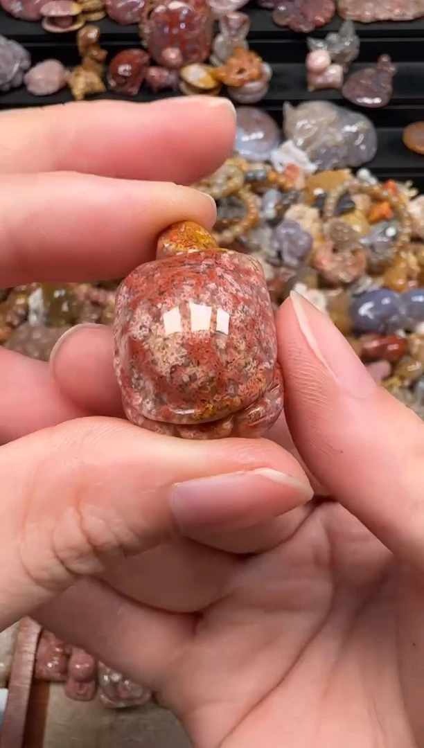 硅化珊瑚（珊瑚玉）未镶嵌颈饰534