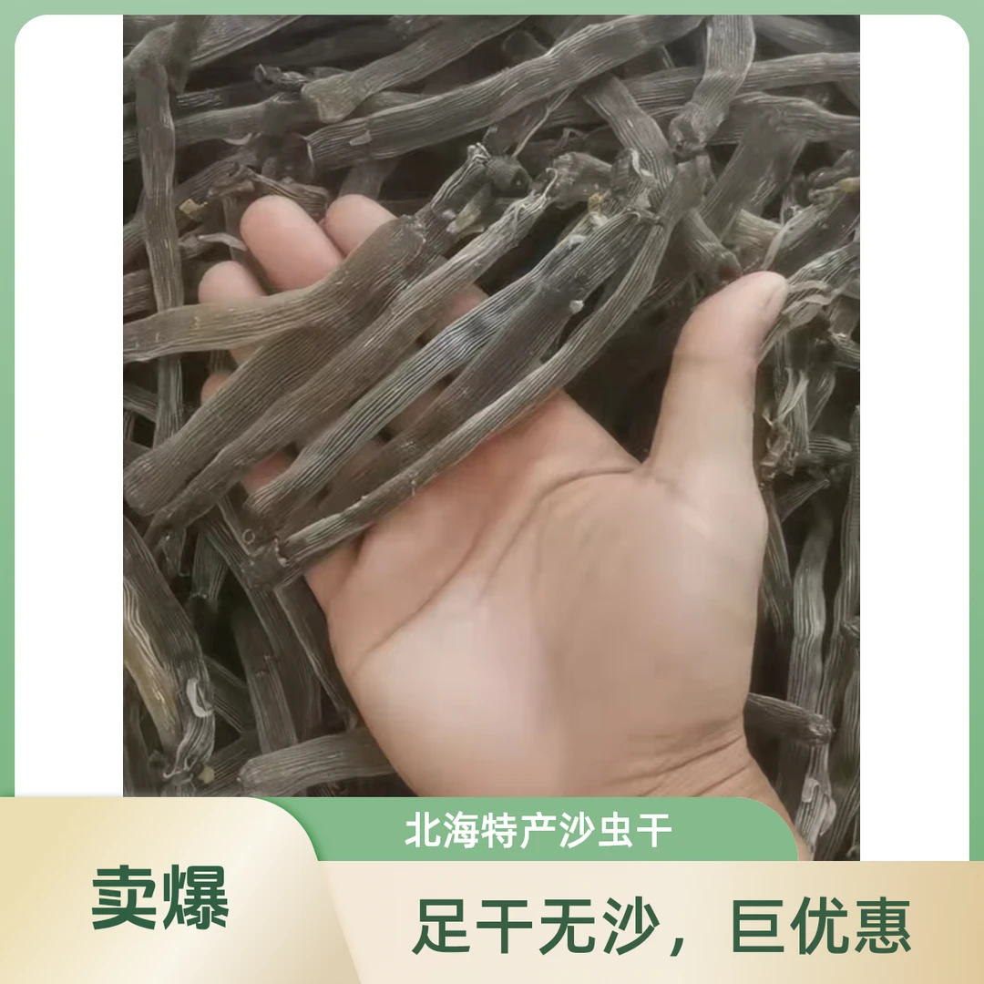 北海特产沙虫干大号原色厚肉沙虫煲汤煲粥提鲜干货