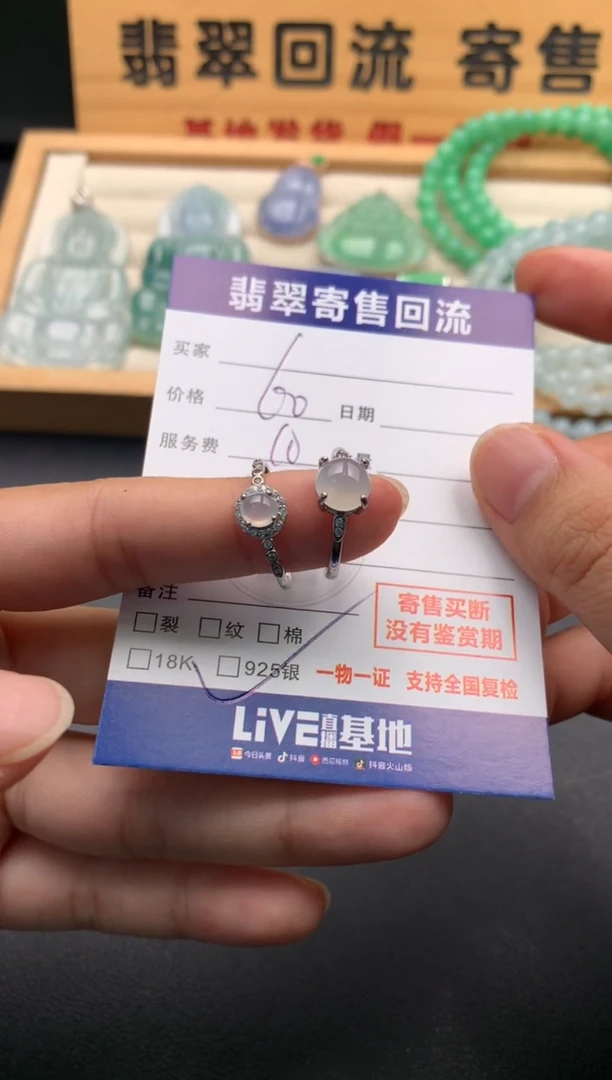 颈饰未镶嵌翡翠10145836