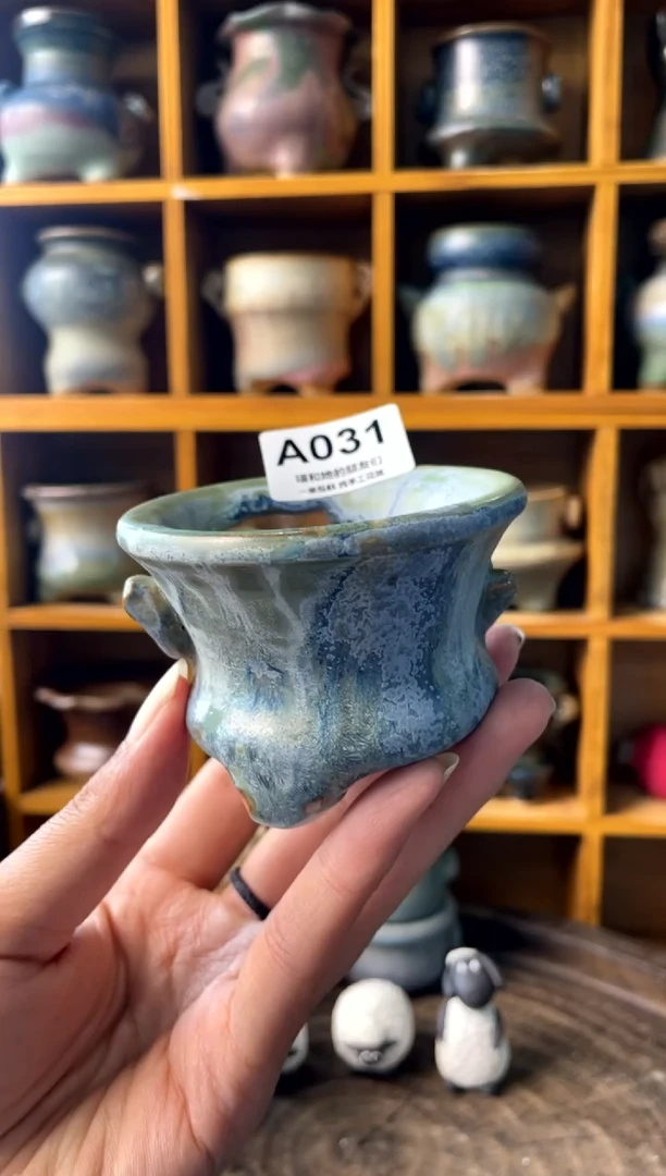 031【多肉花盆多肉盆】