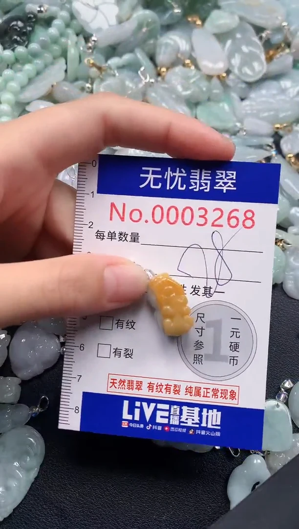 颈饰未镶嵌翡翠3568