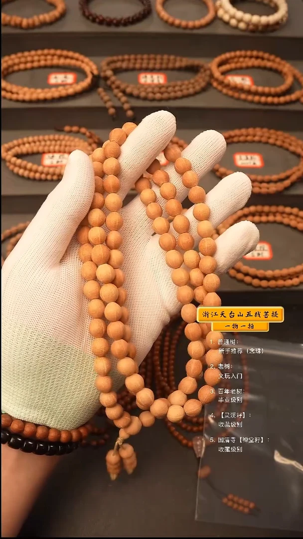 吊坠五线菩提?**文y脖挂
