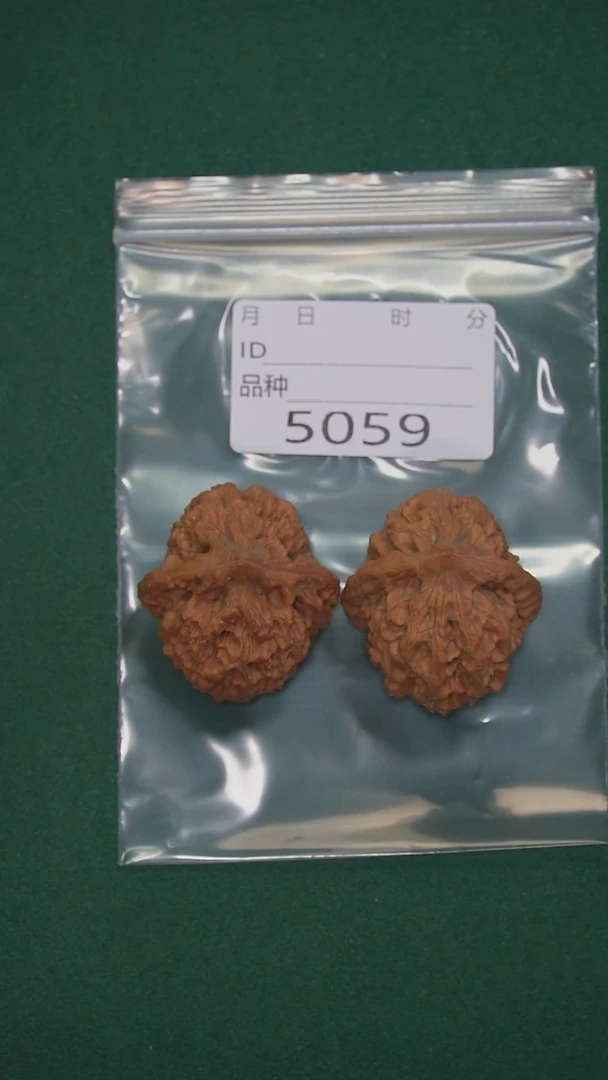 把件文玩核桃石*37太行龙纹