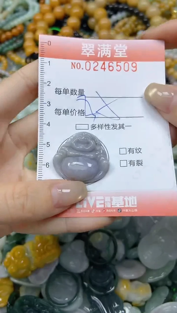 未镶嵌挂件翡翠闪购0246509