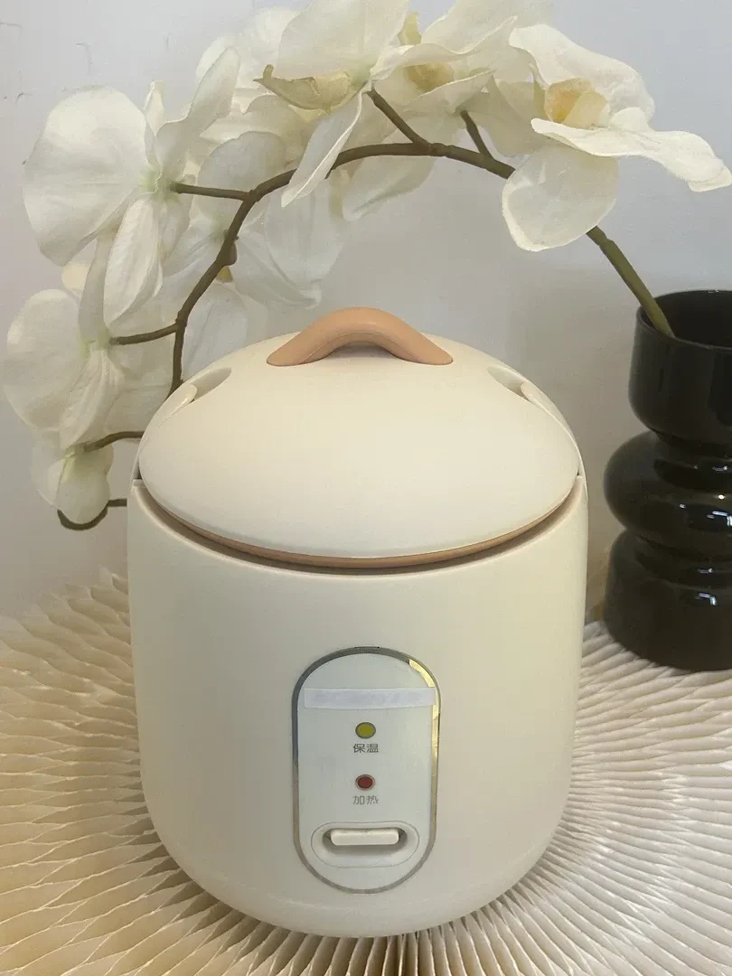 家用小电饭煲  LALY