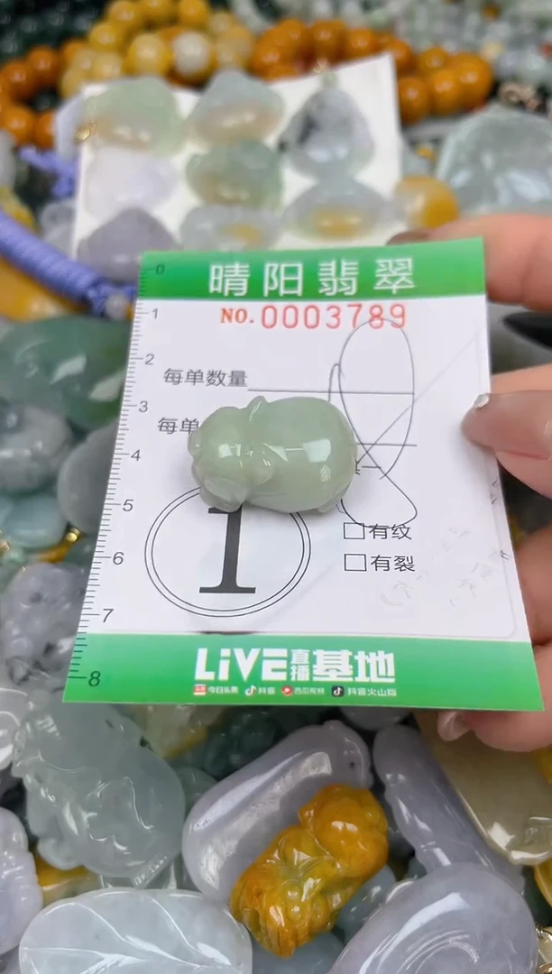 颈饰未镶嵌翡翠闪购0003789