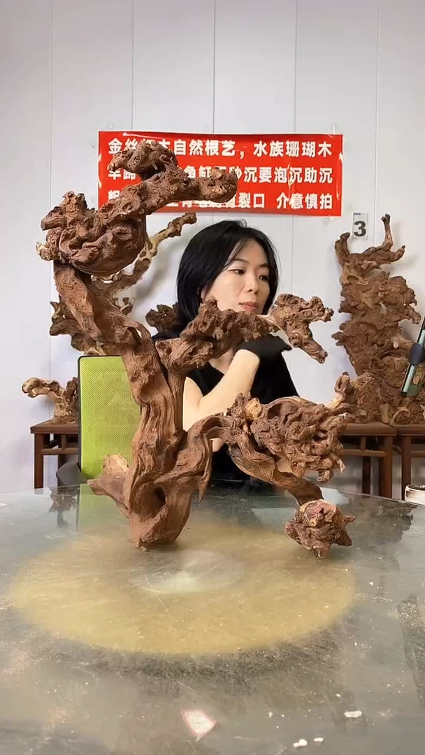 香榧木金丝红木  羊蹄甲