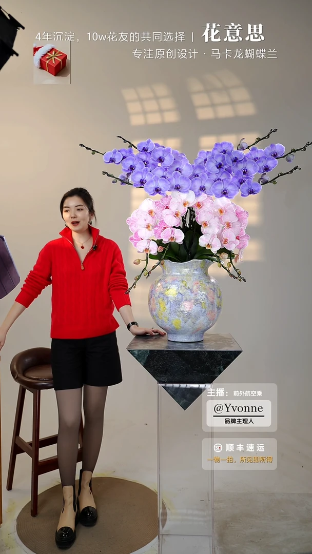 全部花朵070花蝴蝶/一物一拍蝴蝶兰艺术盆景