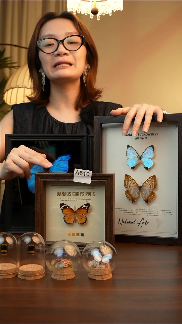 金斑蝶-（6寸方胡桃色新款框）A610