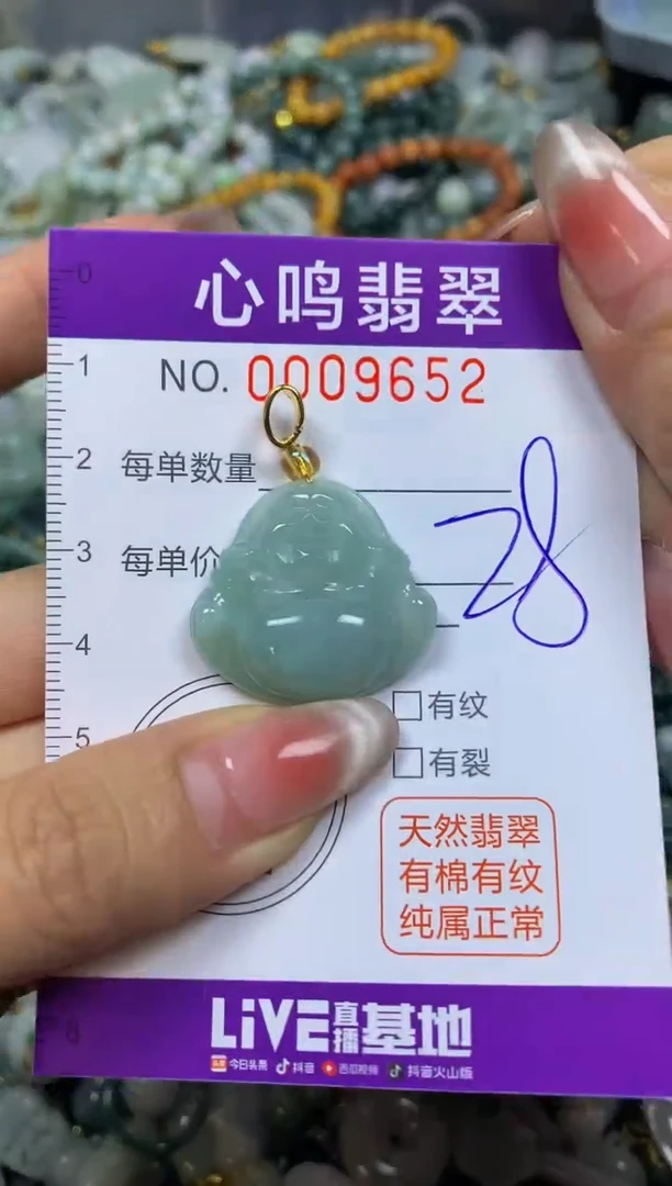 翡翠未镶嵌颈饰闪购009652