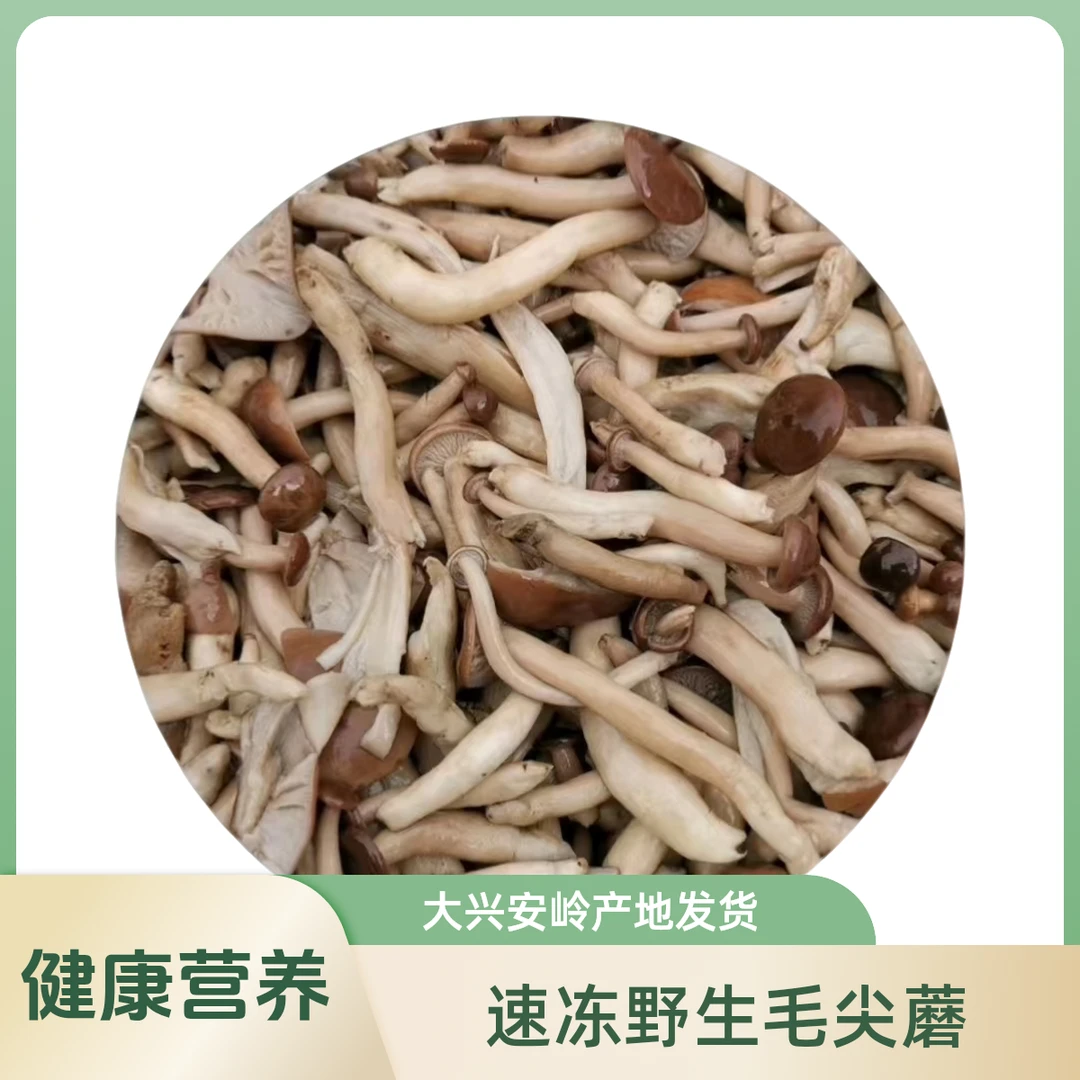（顺丰包邮）大兴安岭野生毛尖蘑菇焯水冷冻发货炒食肉嫩味鲜500克