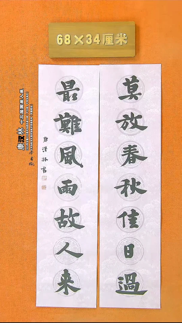 【闪购商品】书法52康汉林书法作品