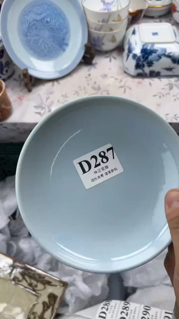 瓷片          D287
