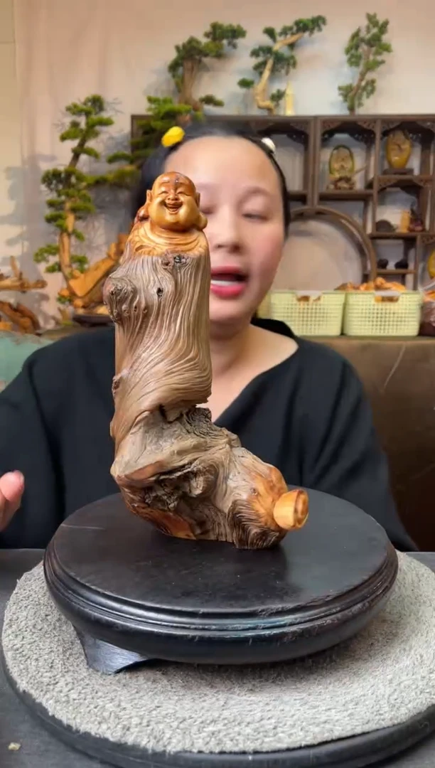 柏木（崖柏）5824582569286659256295629695260