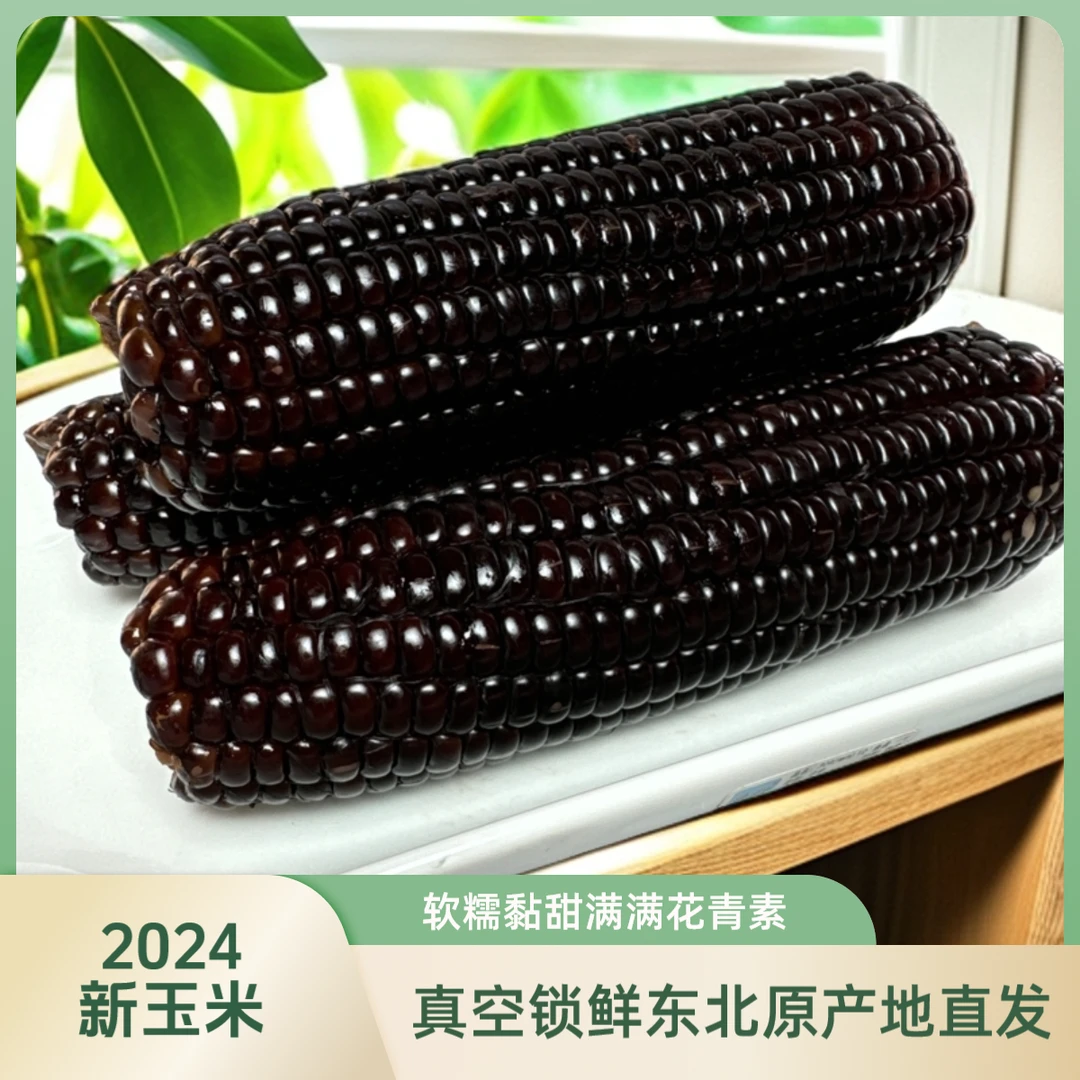 东北黑甜糯玉米8支（单支240g）