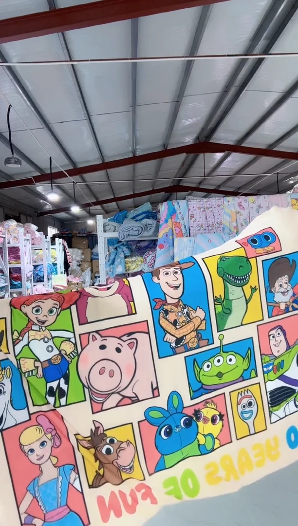 玩具总动员48*74超冷枕套