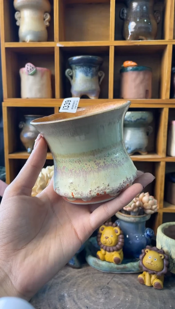 339内口9【多肉花盆多肉盆】