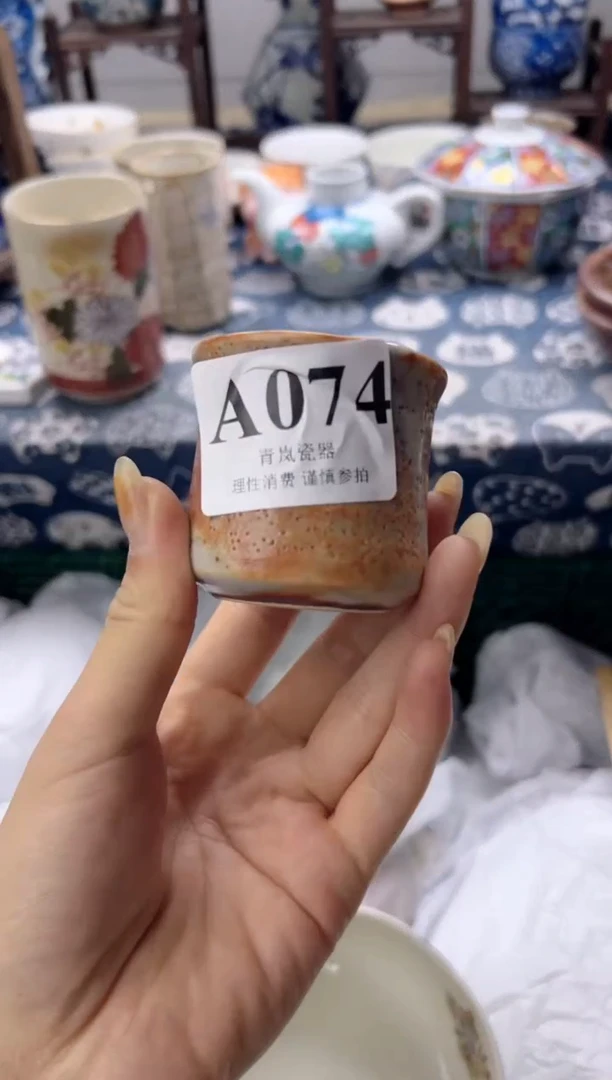 瓷片堆***猫  A074
