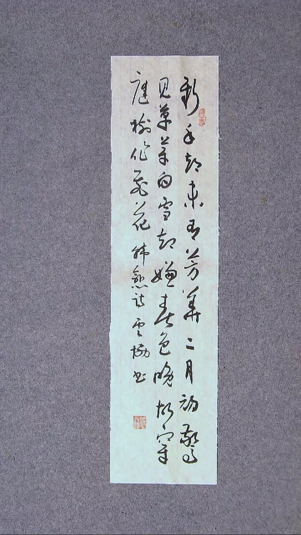 书法谭云协   宁夏 副主69*17尺寸