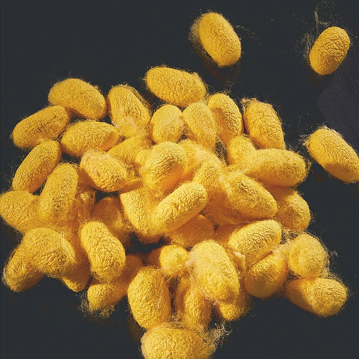 天然桐乡双宫茧黄金丝桑蚕长丝手工被纯手工婚被字母被四季通用