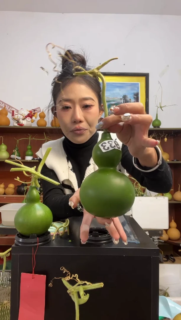 城****达933天然葫芦摆件 一物一拍龙头不保售后