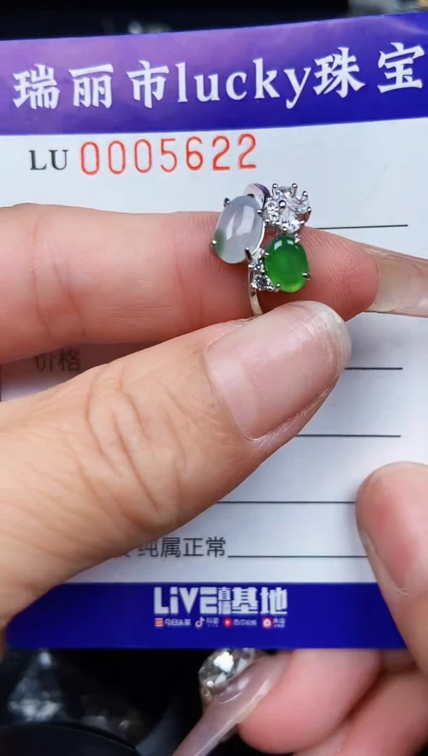 翡翠银S925镶嵌颈饰5622