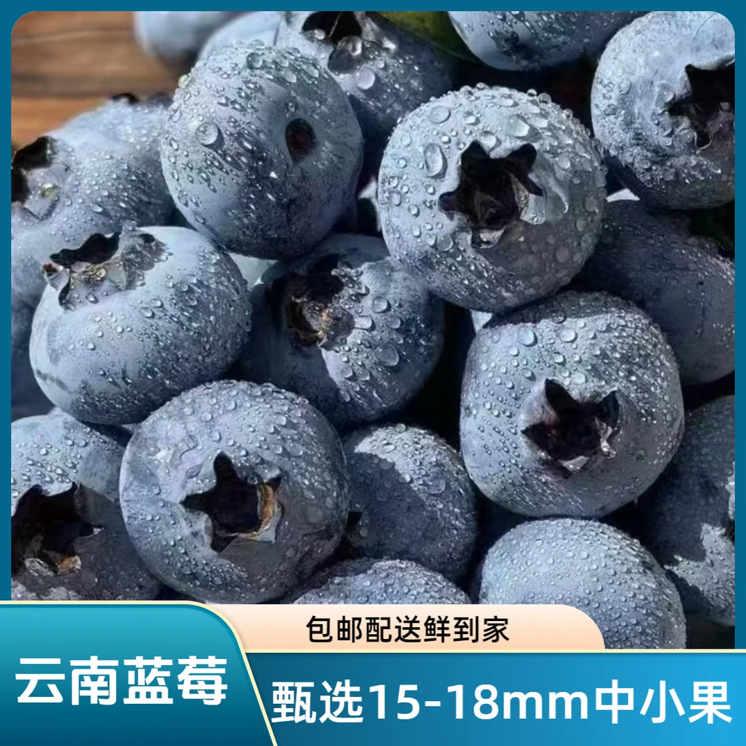 0【京东/顺丰丨甄选15-18mm中小果】云南花香蓝莓8盒装（100g/盒）