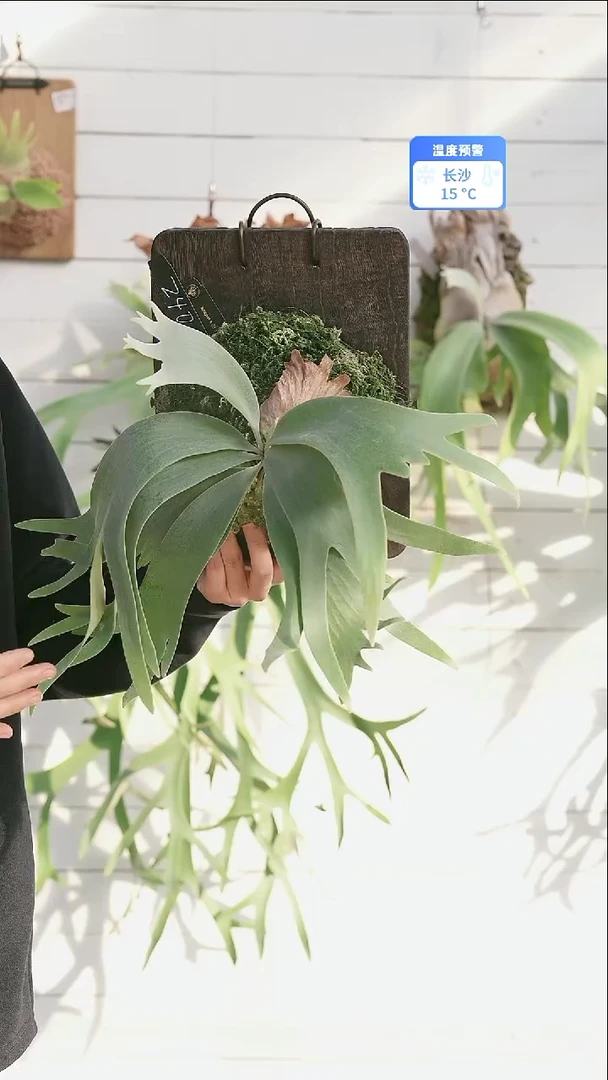 完全开放A022  A1