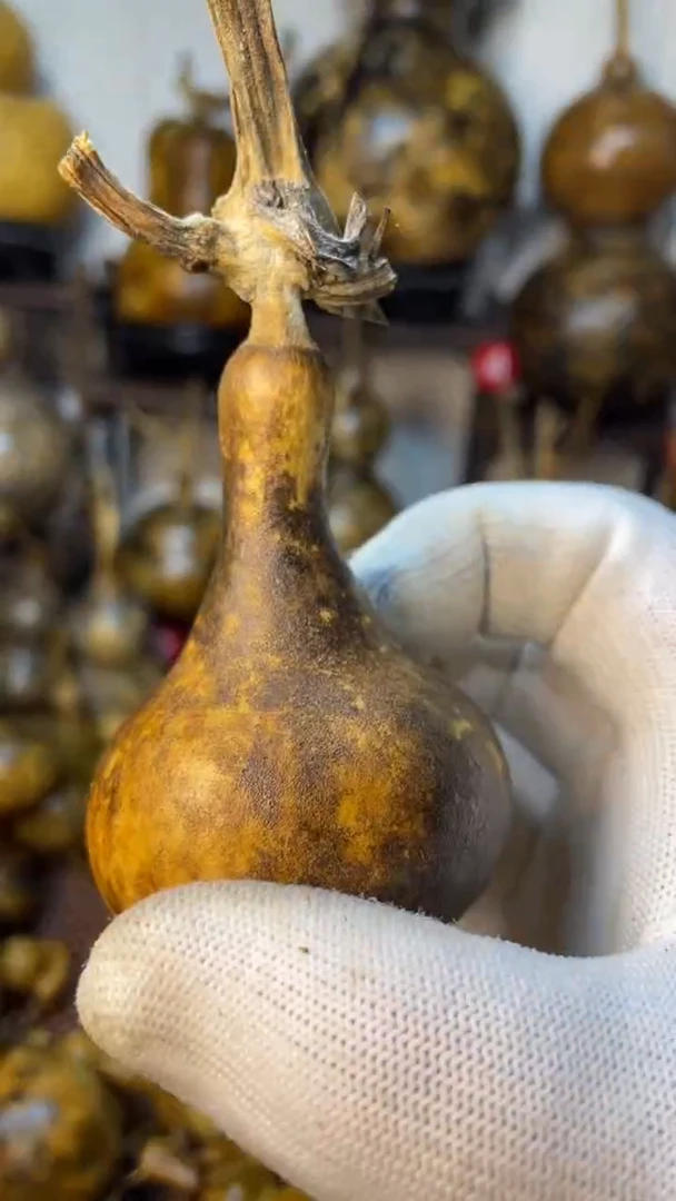 【闪购商品】葫芦葫芦葫芦葫芦