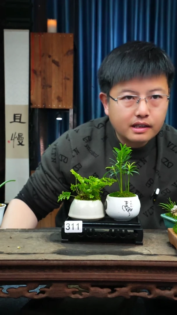 【闪购商品】苔藓微景观311号