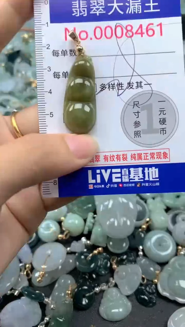 翡翠未镶嵌吊坠(不含链)8461