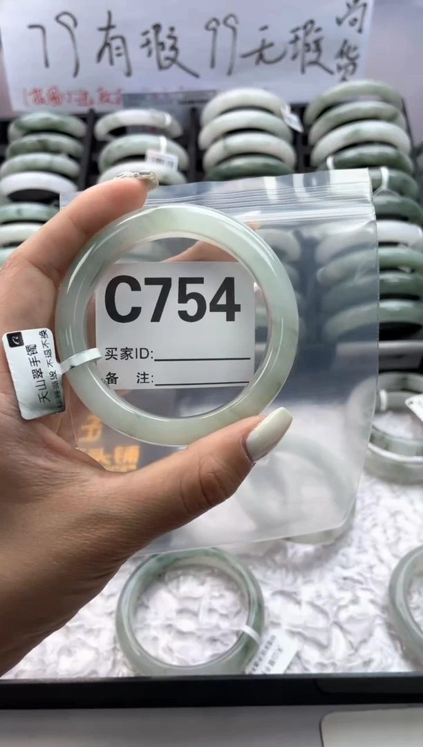 石英质玉（天山翠）手镯未镶嵌754