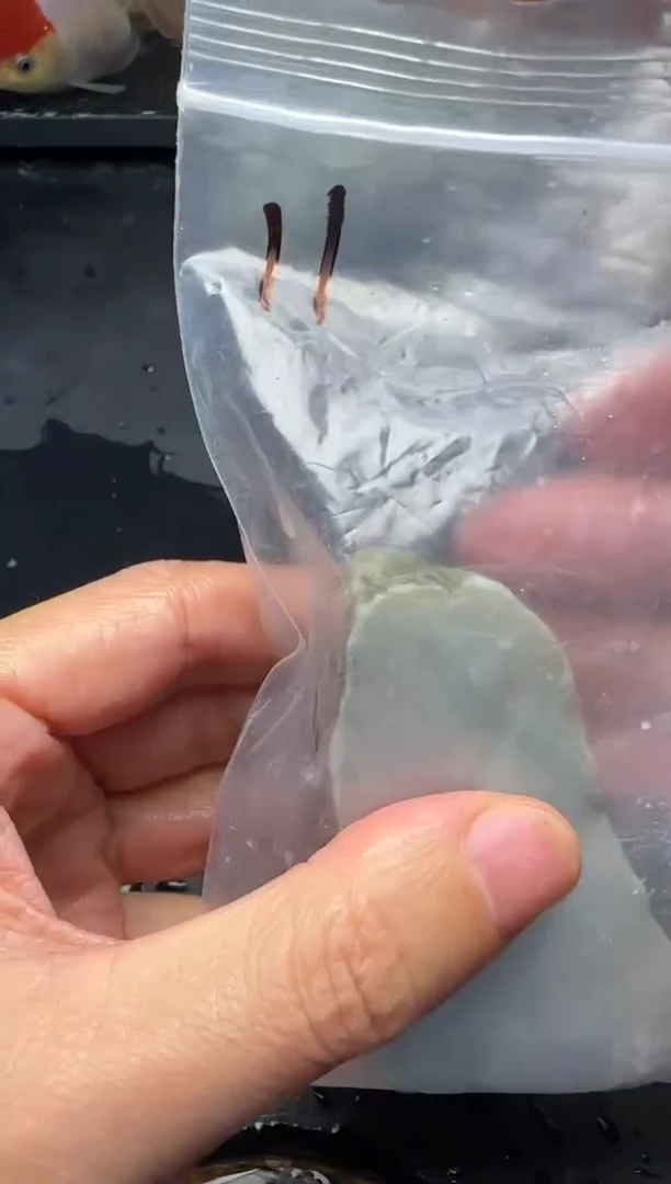 颈饰未镶嵌翡翠11