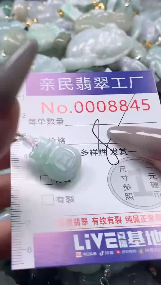 颈饰未镶嵌翡翠8845