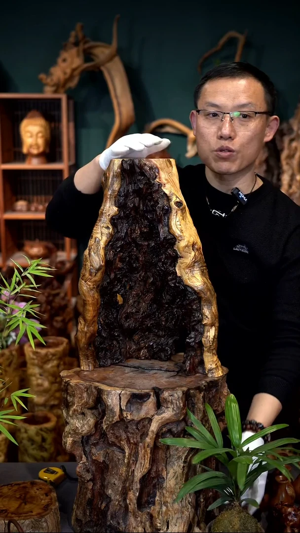 木雷击枣木半壁江山