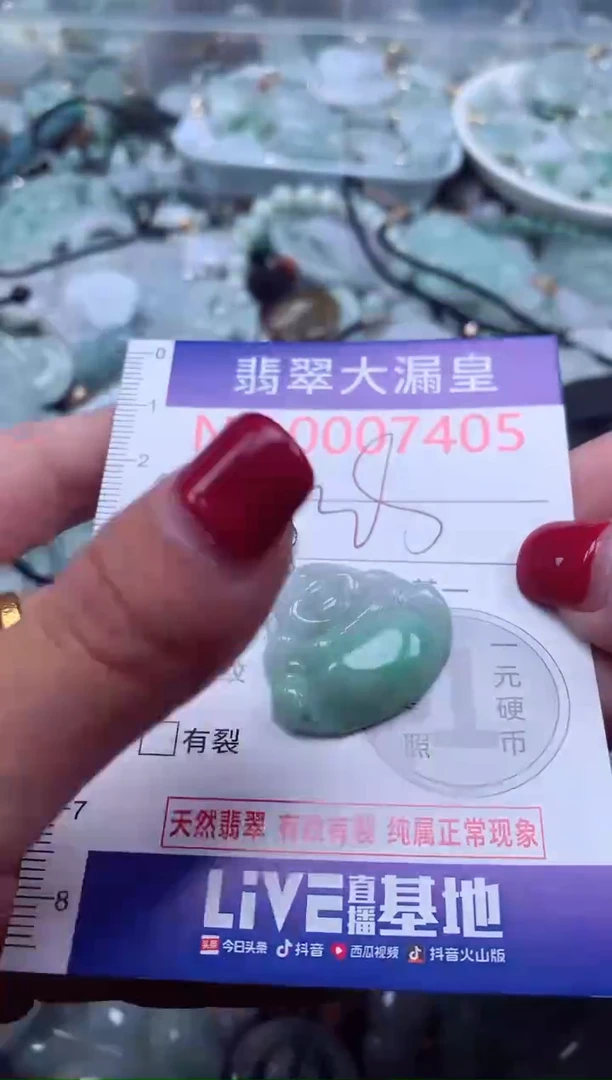 颈饰未镶嵌翡翠7405