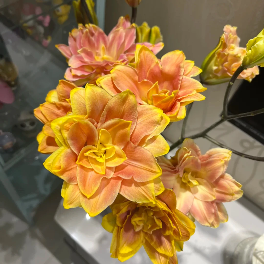 【柔柔甄选】秋瑟百合云南直发鲜花家居水养鲜花花束客厅