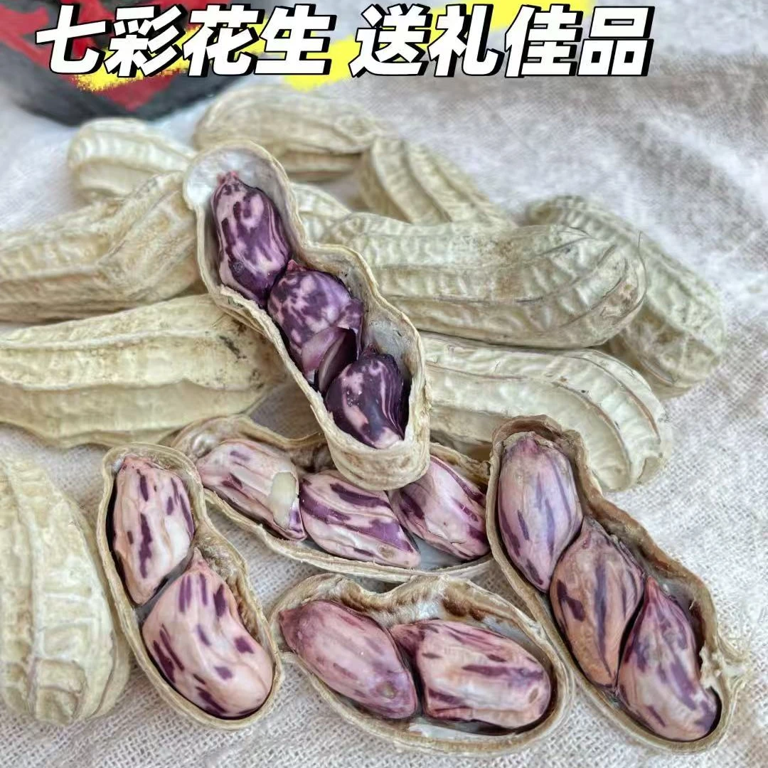 农家自种爆品【七彩花生】【现货次日达】原味香酥回甜 1-5斤休闲小零食