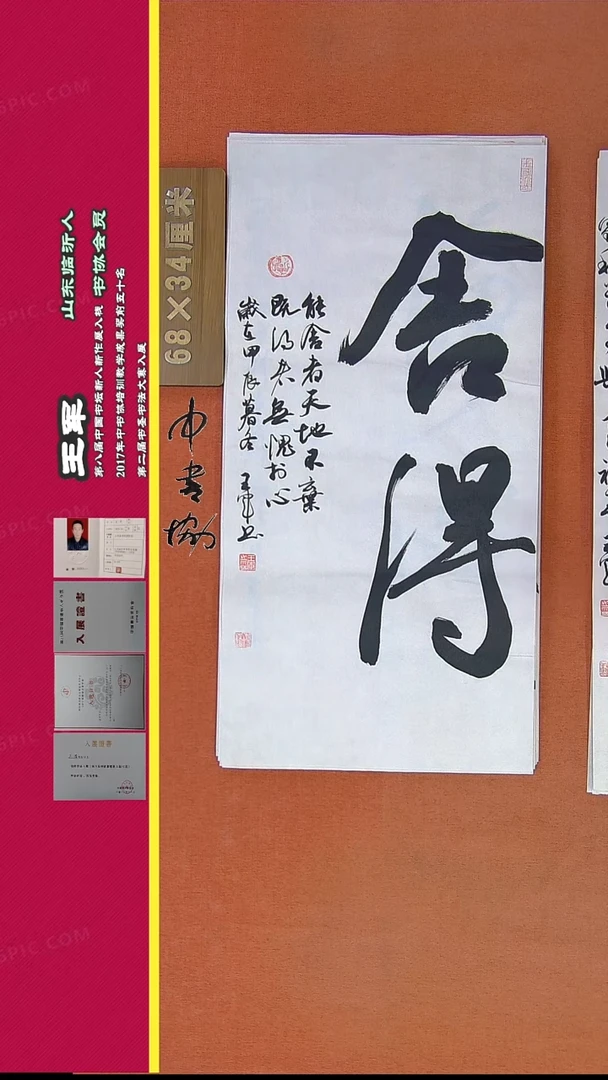 【闪购商品】书法370王军书法精品作品