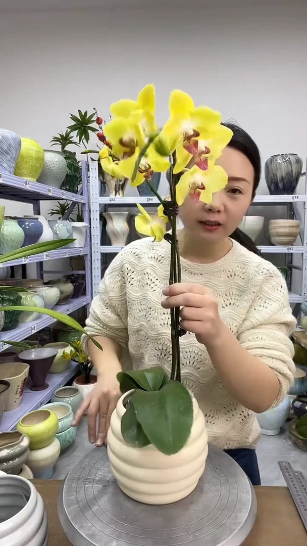 11.27陶瓷花盆直播链接高.14     口11