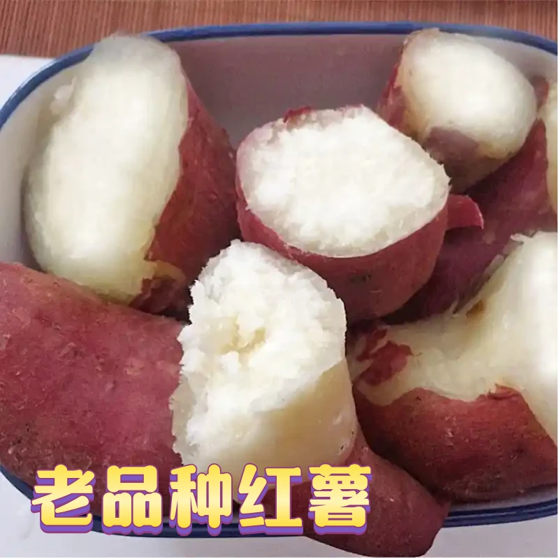 红皮白心红薯5斤沙土地番薯干面粉糯地瓜老品种红薯农家自种新鲜